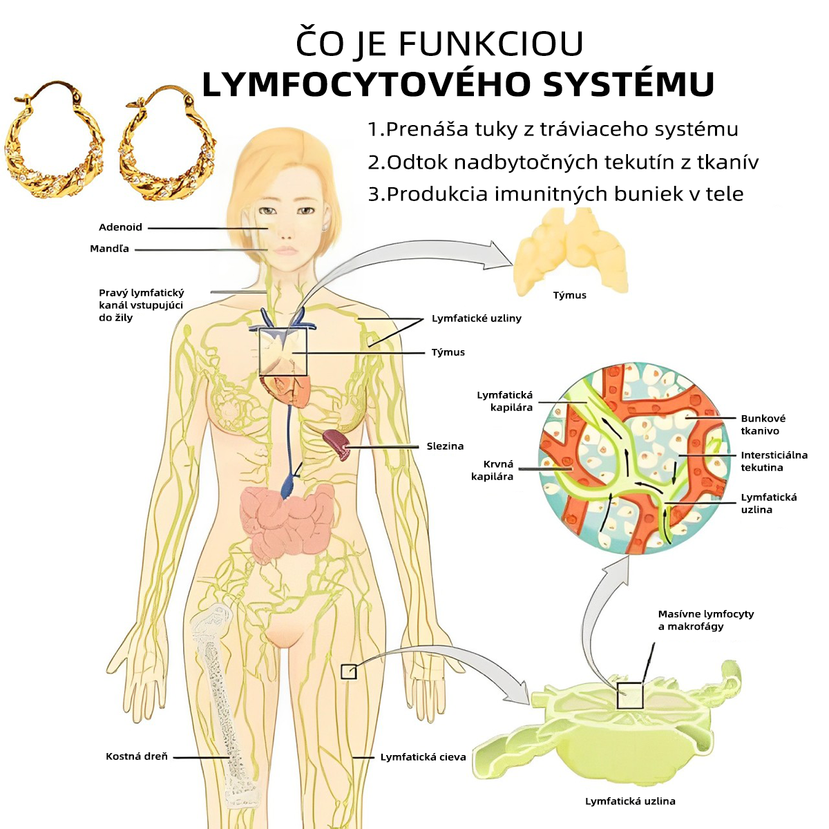 CZTICLE™ Náušnice na podporu lymfatickej aktivity🔥 (Časovo obmedzená ponuka 🎄 Vianočná akcia)